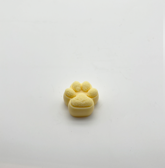 Small Dog Paw Mould